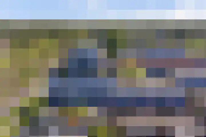 De Botteloef 26 Dronten thumbnail 40