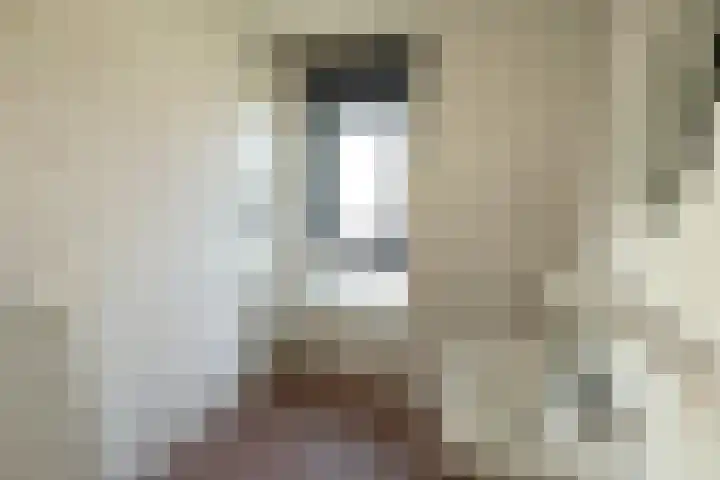 De Botteloef 29 Dronten thumbnail 31