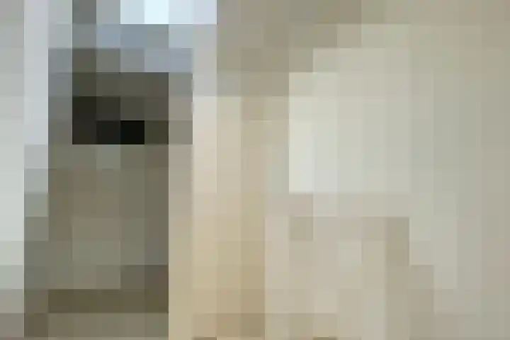 De Botteloef 29 Dronten thumbnail 32