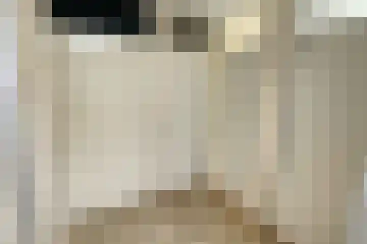 De Botteloef 29 Dronten thumbnail 35