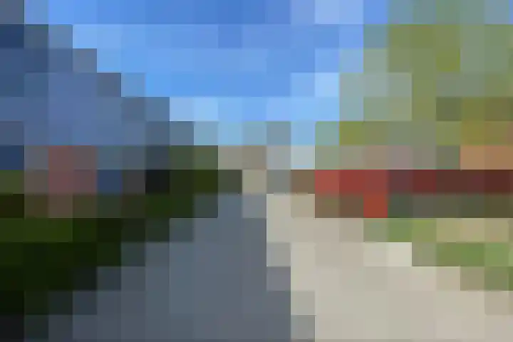 De Botteloef 29 Dronten thumbnail 8