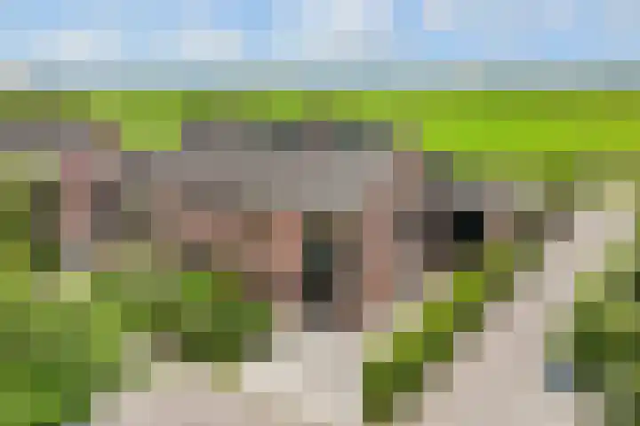 de Botter 13 Baarn foto 2