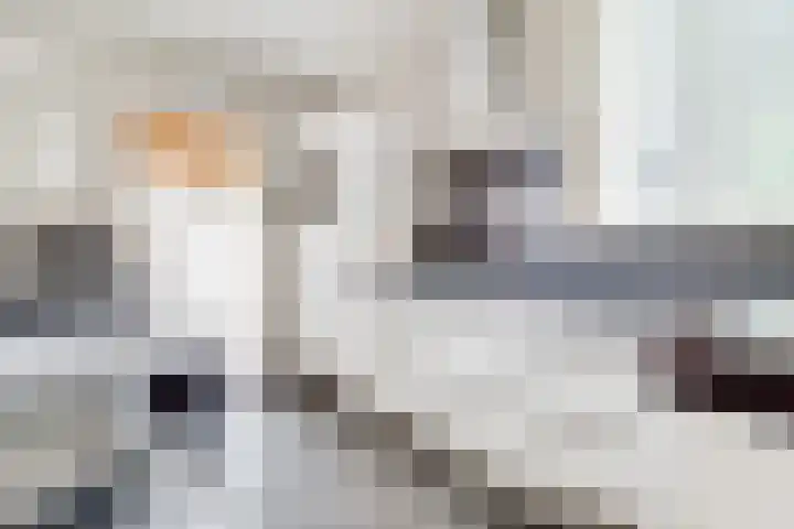 de Botter 13 Baarn thumbnail 22