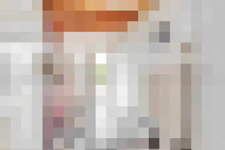 de Botter 13 Baarn thumbnail 24