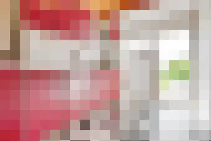 de Botter 13 Baarn thumbnail 25