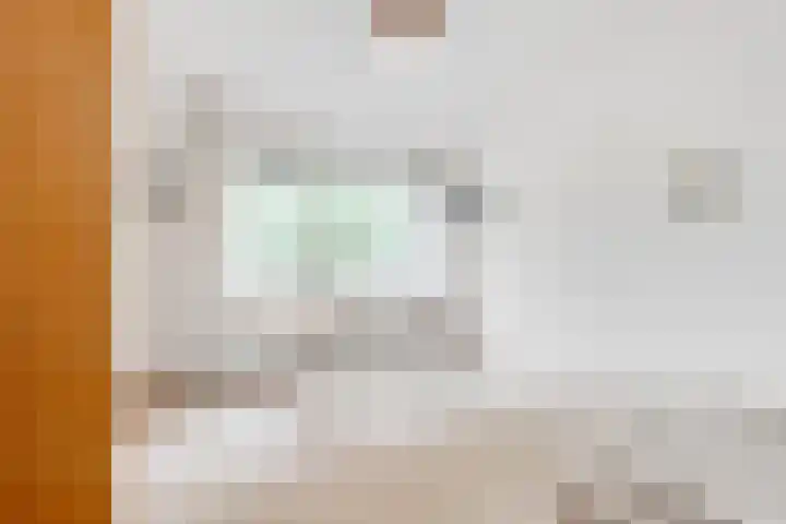 de Botter 13 Baarn thumbnail 28