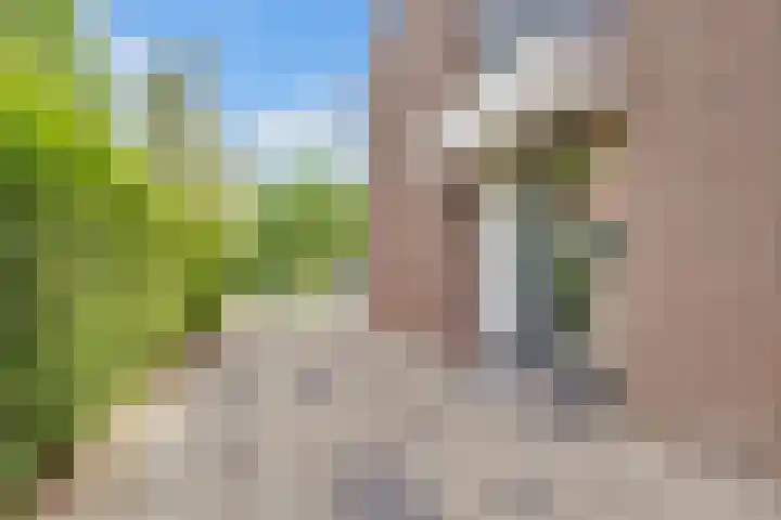 de Botter 13 Baarn foto 3