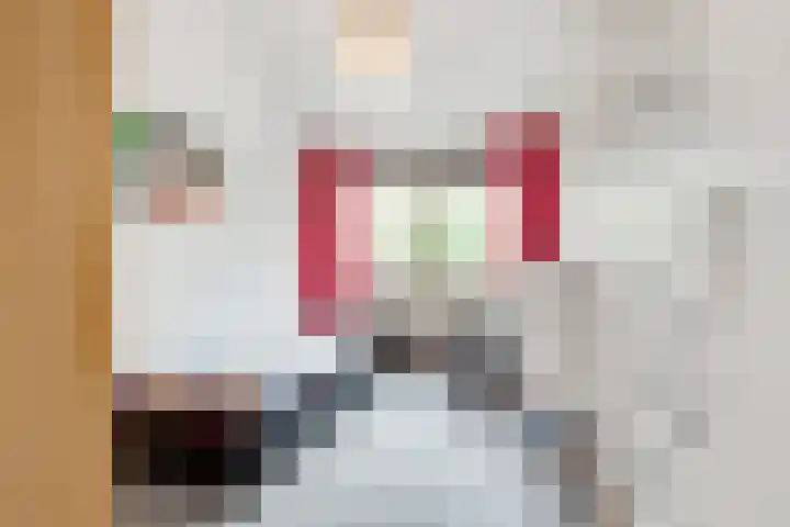 de Botter 13 Baarn thumbnail 34