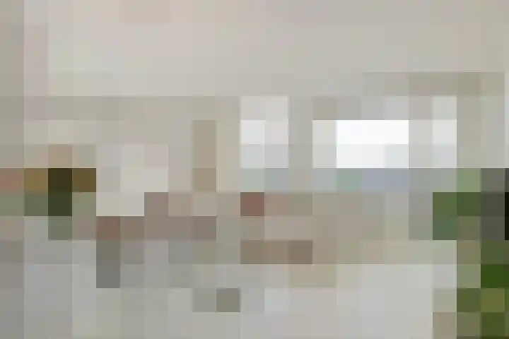 de Botter 13 Baarn thumbnail 4