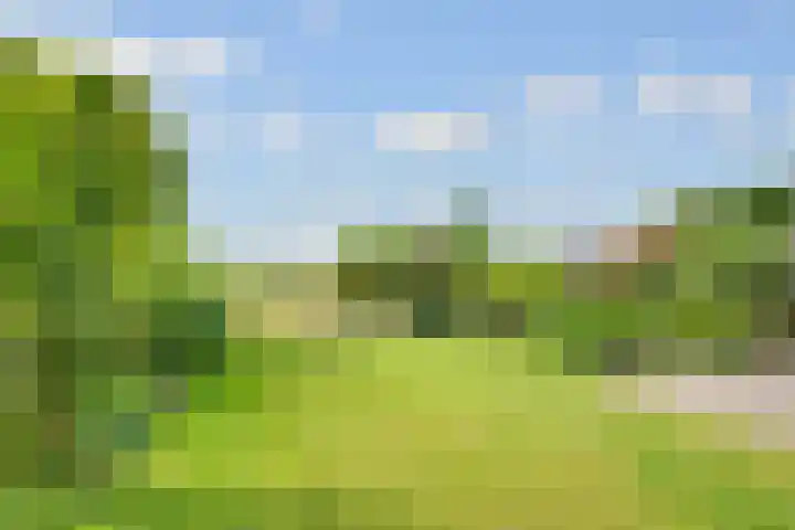 de Botter 13 Baarn thumbnail 49