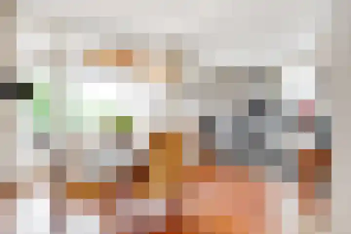 de Botter 13 Baarn thumbnail 5