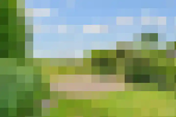 de Botter 13 Baarn thumbnail 50