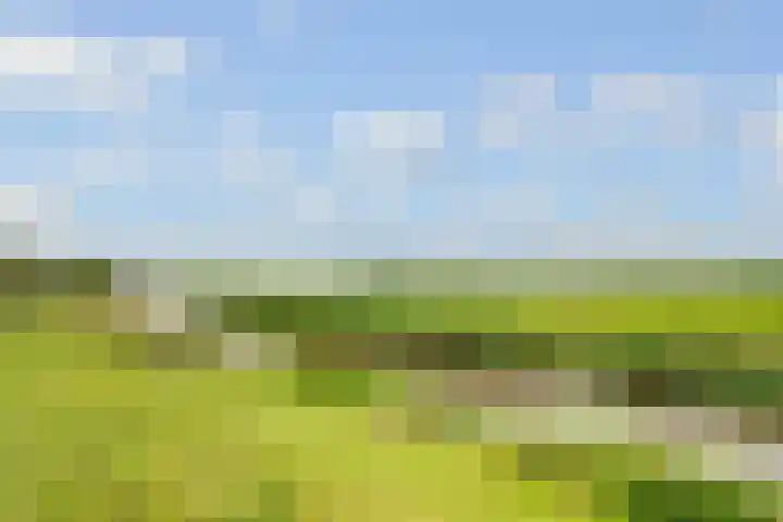 de Botter 13 Baarn thumbnail 51