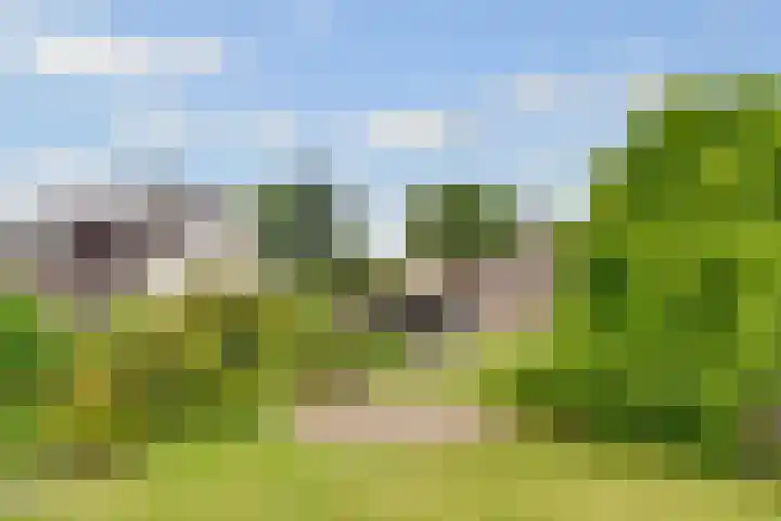 de Botter 13 Baarn thumbnail 54