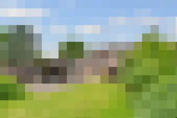 de Botter 13 Baarn thumbnail 56