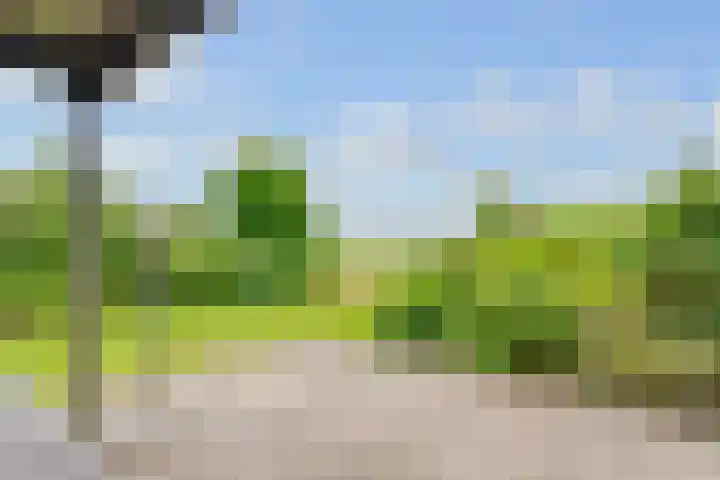 de Botter 13 Baarn thumbnail 58