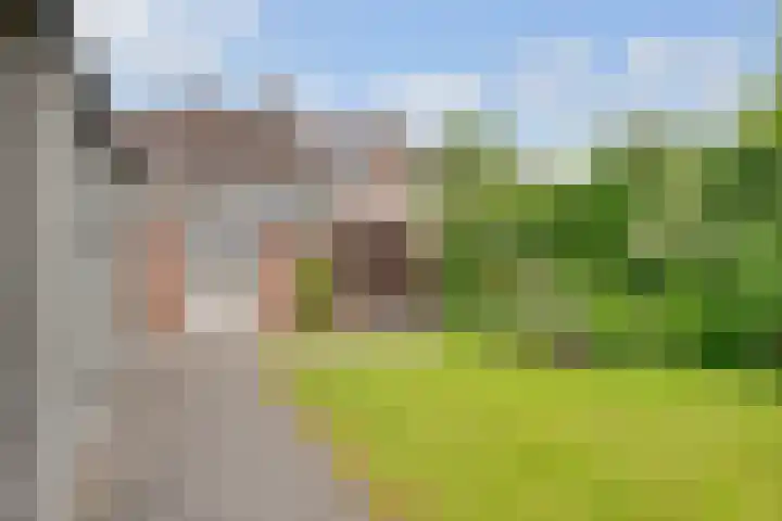 de Botter 13 Baarn thumbnail 59