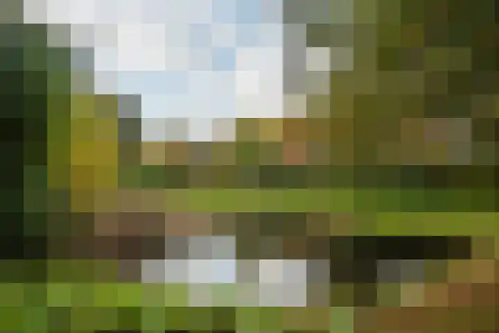 de Botter 13 Baarn thumbnail 61