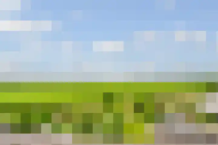de Botter 13 Baarn thumbnail 61