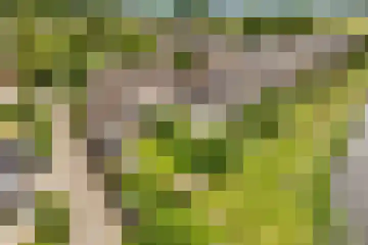 de Botter 13 Baarn thumbnail 64