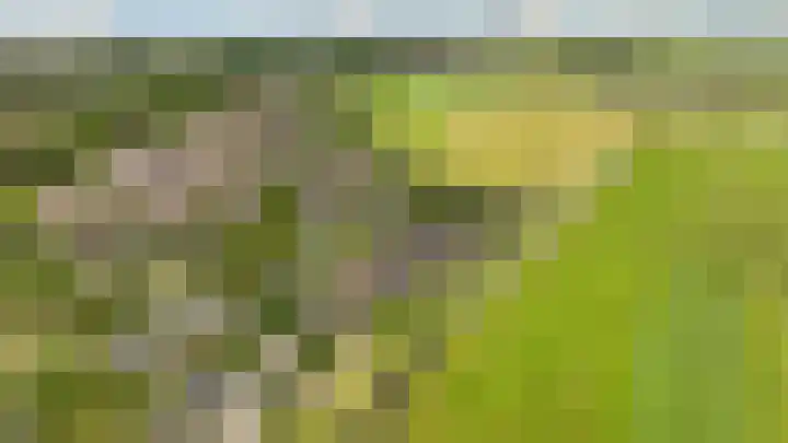 de Botter 13 Baarn thumbnail 65