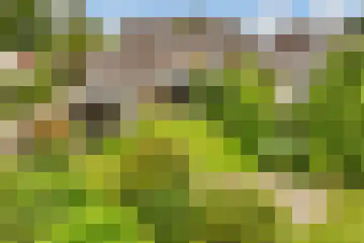 de Botter 13 Baarn thumbnail 66