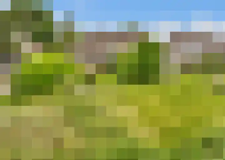 de Botter 13 Baarn thumbnail 67