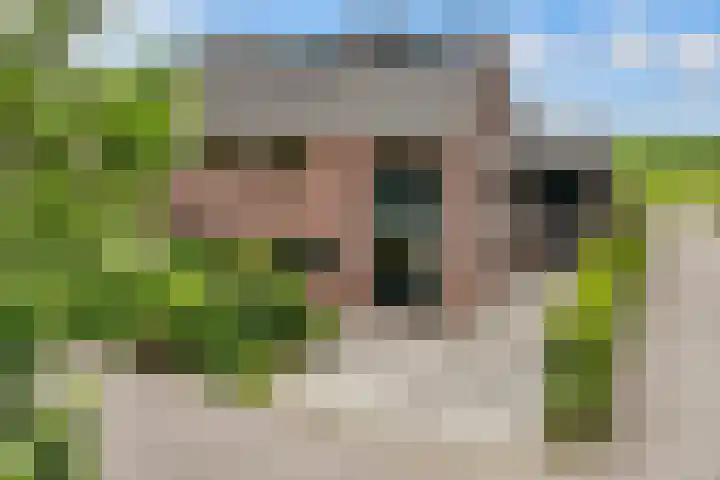 de Botter 13 Baarn thumbnail 74