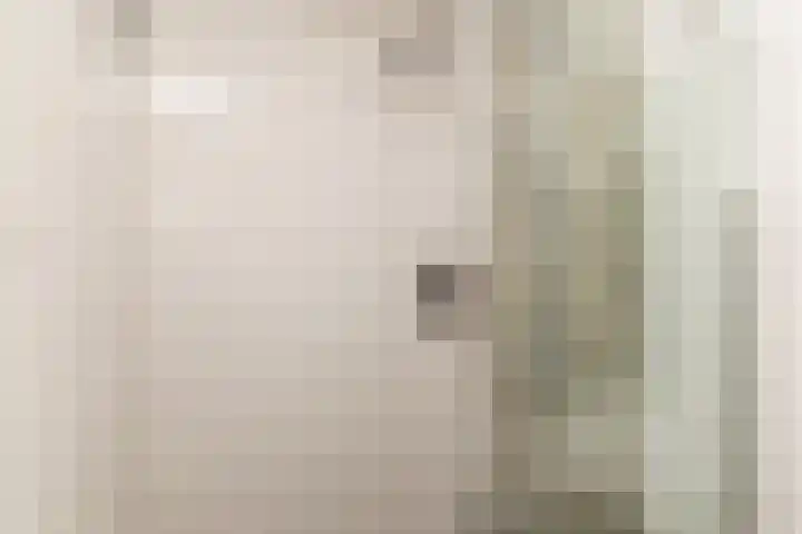 de Botterije 11 Schalkhaar thumbnail 16