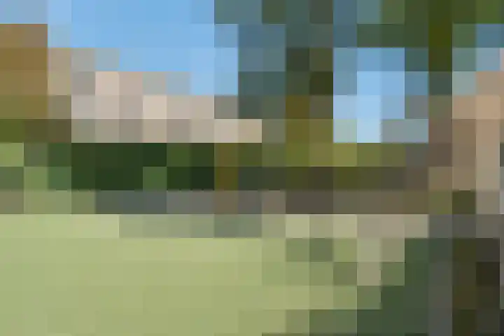 de Botterije 11 Schalkhaar thumbnail 22