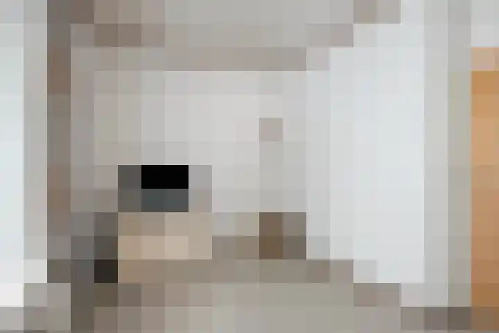 de Botterije 11 Schalkhaar thumbnail 23
