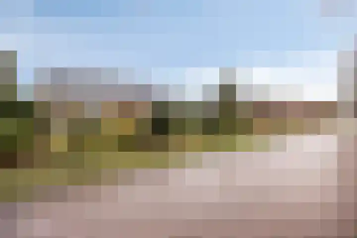 de Botterije 11 Schalkhaar thumbnail 34