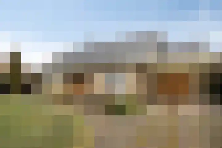 de Botterije 11 Schalkhaar thumbnail 37