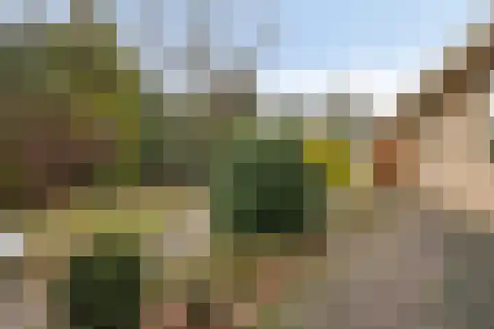 de Botterije 11 Schalkhaar thumbnail 38