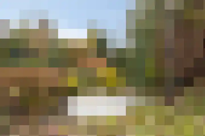 de Botterije 11 Schalkhaar thumbnail 41