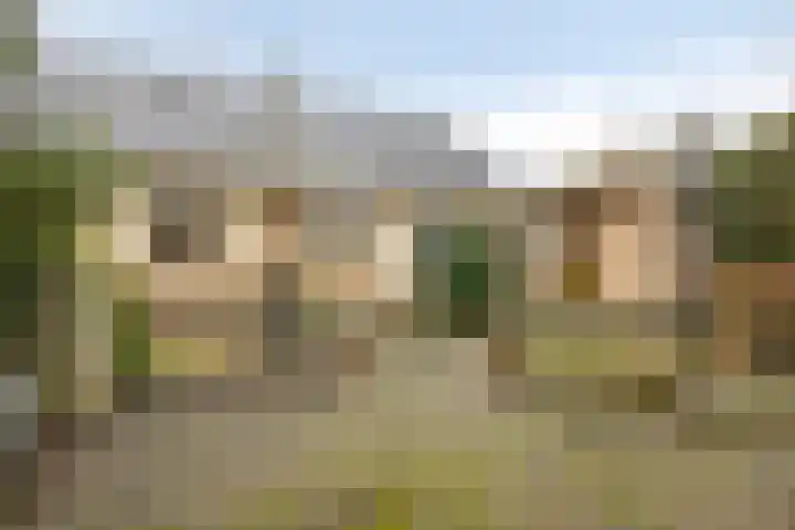 de Botterije 11 Schalkhaar thumbnail 42