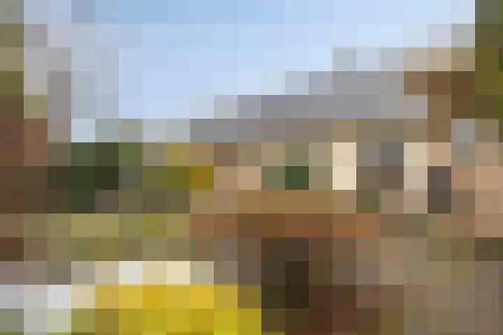 de Botterije 11 Schalkhaar thumbnail 44
