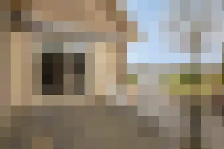 de Botterije 11 Schalkhaar thumbnail 48