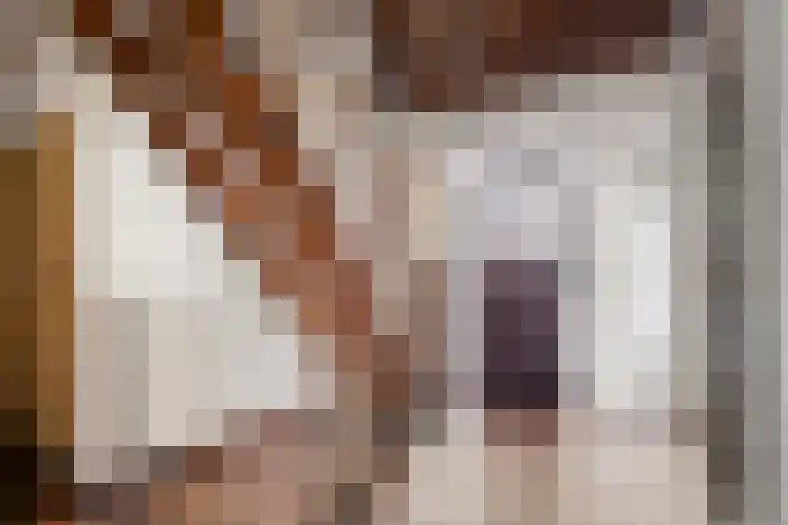 de Botterije 11 Schalkhaar thumbnail 6