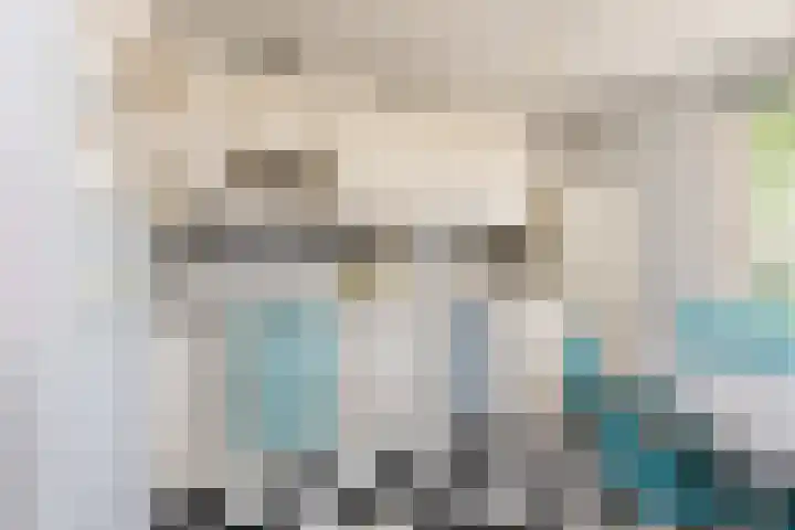 De Bou 23 Oppenhuizen thumbnail 10