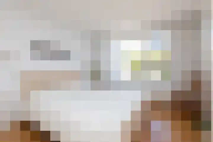 De Bou 23 Oppenhuizen thumbnail 14