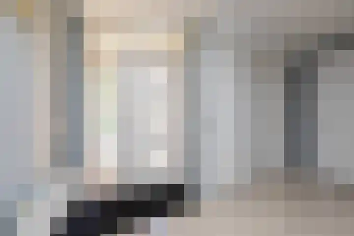 De Bou 23 Oppenhuizen thumbnail 19
