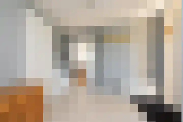 De Bou 23 Oppenhuizen thumbnail 20