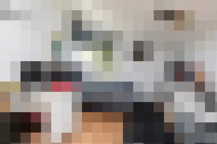 De Bou 23 Oppenhuizen thumbnail 23