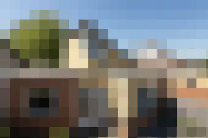 De Bou 23 Oppenhuizen thumbnail 31