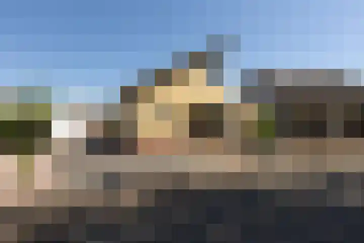 De Bou 23 Oppenhuizen thumbnail 32