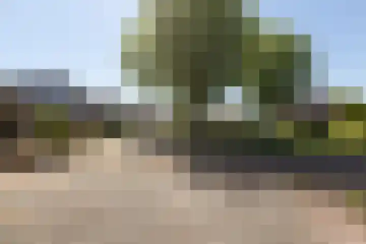 De Bou 23 Oppenhuizen thumbnail 33