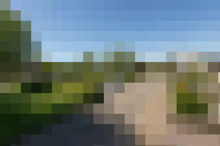 De Bou 23 Oppenhuizen thumbnail 36