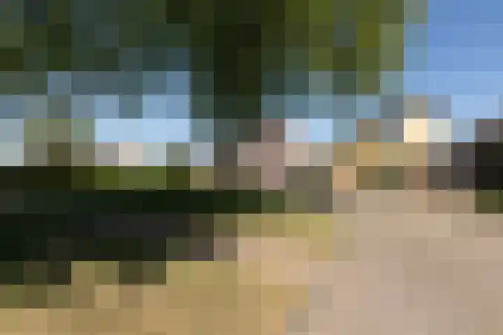 De Bou 23 Oppenhuizen thumbnail 37