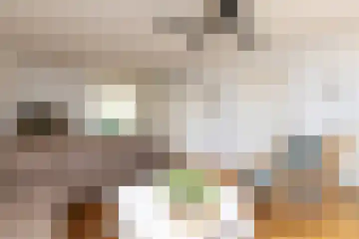 De Bou 23 Oppenhuizen thumbnail 4